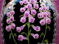 Foxglove 1b.jpg